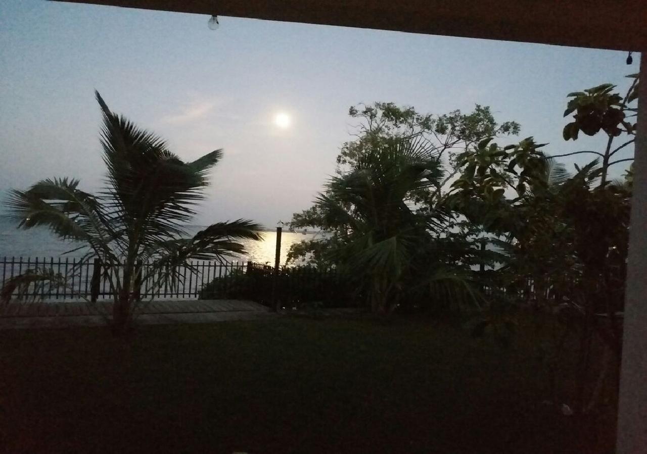 Negombo Holiday Home Экстерьер фото